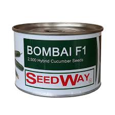 بذر خیار بومبای