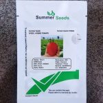 بذر گوجه فرنگی Tifal دانمارک 2024