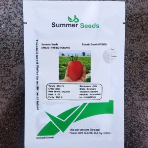 بذر گوجه فرنگی Tifal دانمارک 2024