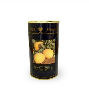 بذر ملون هیبرید اناناسی