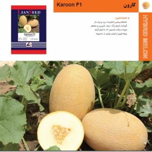 بذر هیبرید خربزه کارون