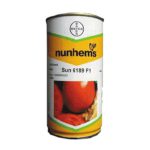 بذر گوجه سانسید 6189