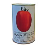 بذر گوجه سما