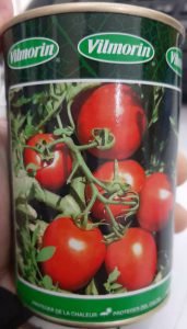 بذر گوجه ویلمورین رقم سوریا