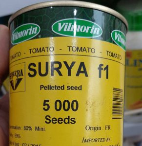 بذر گوجه ویلمورین رقم سوریا