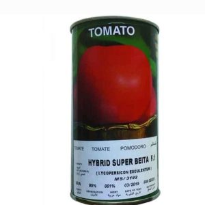 بذر گوجه فرنگی سوپر بیتا