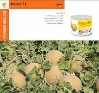 بذر هیبرید خربزه گالیا مستر