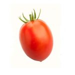 گروه گوجه کاران ایران زمین