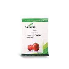 بذر گوجه فرنگی بریویو