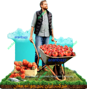 شرکت اران بذر