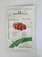 پربارترین بذر گوجه چیکو