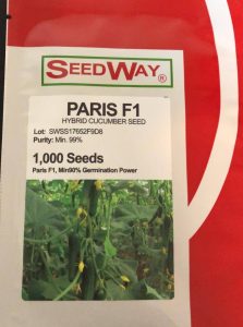 بذر خیار پربار گلخانه پاریس