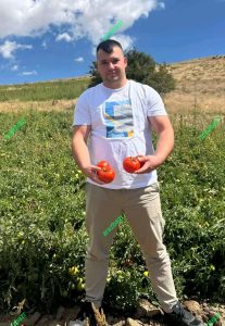 بذر گوجه فرنگی یارس