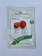 بذر گوجه فرنگی یارس