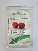 بذر گوجه فرنگی ده هزار