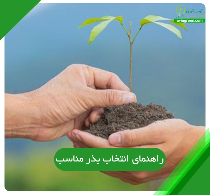 بهره وری از یک بذر خوب