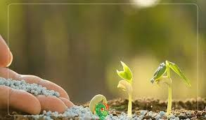 بهبود دهنده خاک