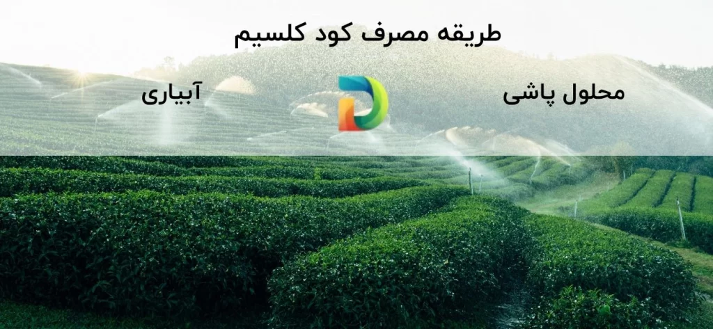 محلول پاشی کلسیم