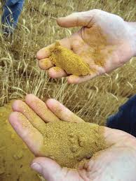 کاربرد گوگرد در خاک