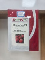 بذر گوجه مرسدس