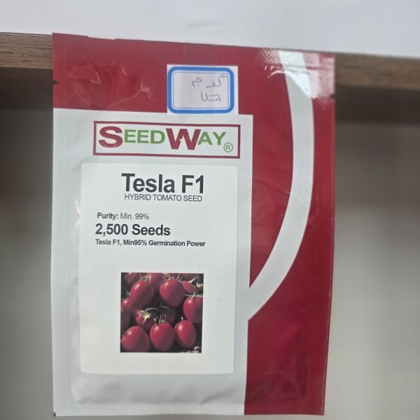 بذر گوجه تسلا