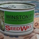 هندوانه وینستون