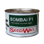 بذر خیار بومبای