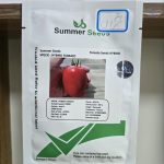 بذر گوجه فرنگی کرال