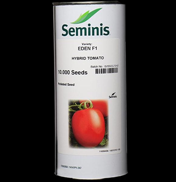 بذر گوجه فرنگی ایدن سیمینس