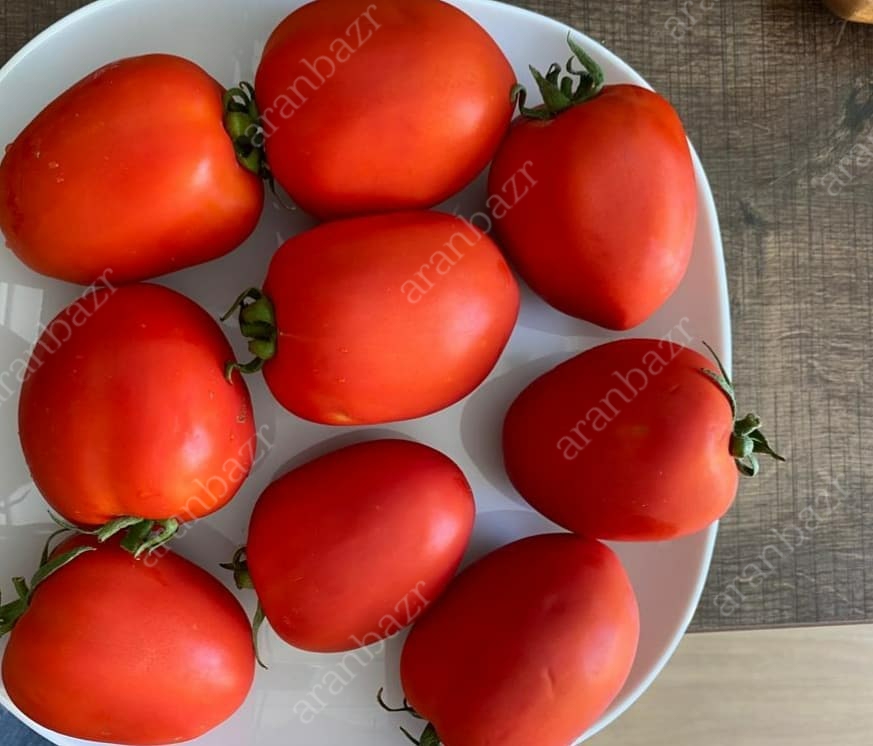 بذر گوجه فرنگی ۰۴۰۶