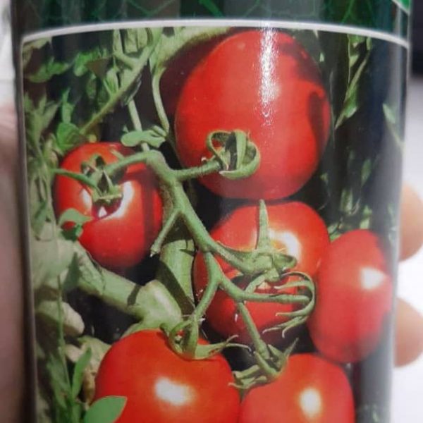 بذر گوجه ویلمورین رقم سوریا