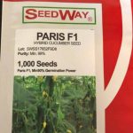 بذر خیار گلخانه ای پاریس