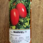 بذر گوجه فرنگی مارول