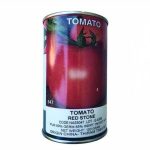 بذر گوجه فرنگی رداستون