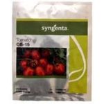بذر گوجه فرنگی GS15
