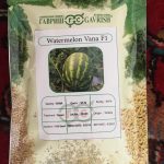 بذر هندوانه وانا