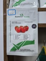 بذر گوجه فرنگی ۸۳۸۰