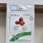 بذر گوجه فرنگی الا