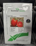 بذر گوجه فرنگی ماروان