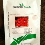 بذر گوجه فرنگی پارلین