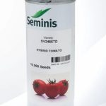 بذر گوجه‌ فرنگی 2466