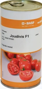 بذر گوجه جودیویس