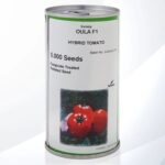 بذر گوجه فرنگی اولا