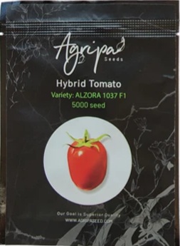 بذر گوجه آلزورا 1037