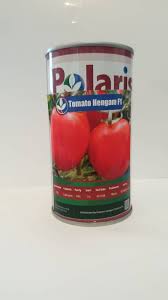 بذر گوجه هنگام پولاریس