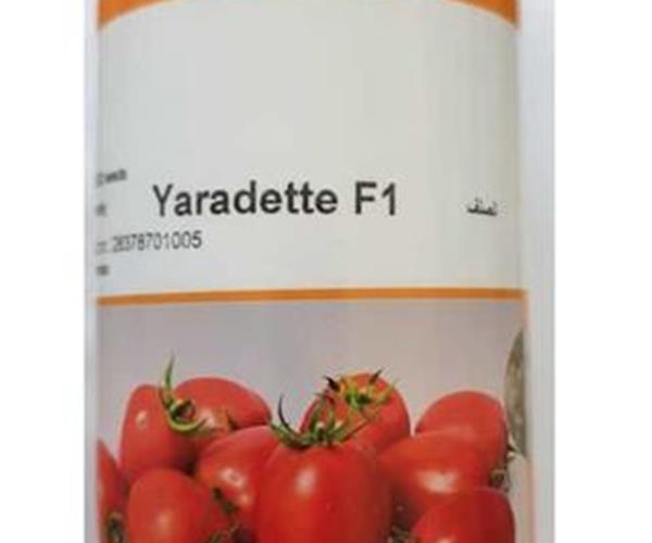 بذر گوجه فرنگی یارادت