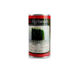 بذر خیار هایک