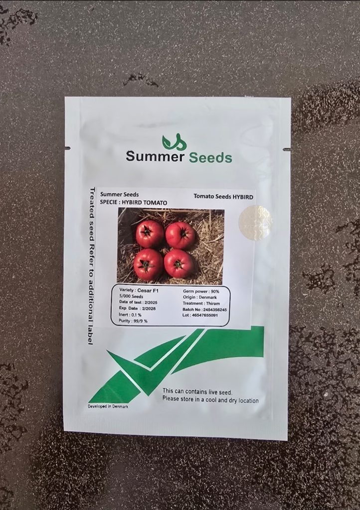 رقم گوجه سزار همتای رقم پربار 911