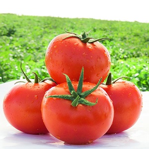 چرا رقم گوجه یارس پربار هست