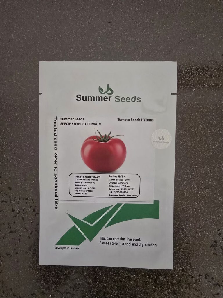 یک بذر گوجه فرنگی خوب